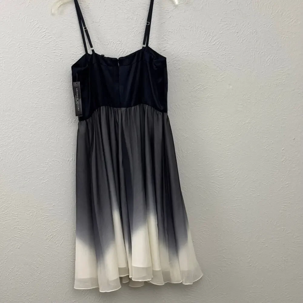 NWT Antonio Melani Formal Ombré Sleeveless Dress - Picture 6 of 10